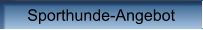 Sporthunde-Angebot