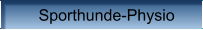 Sporthunde-Physio