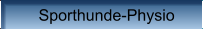 Sporthunde-Physio